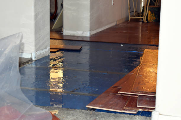 Professional Emergency Water Damage Restoration technician working in Ionia, MI